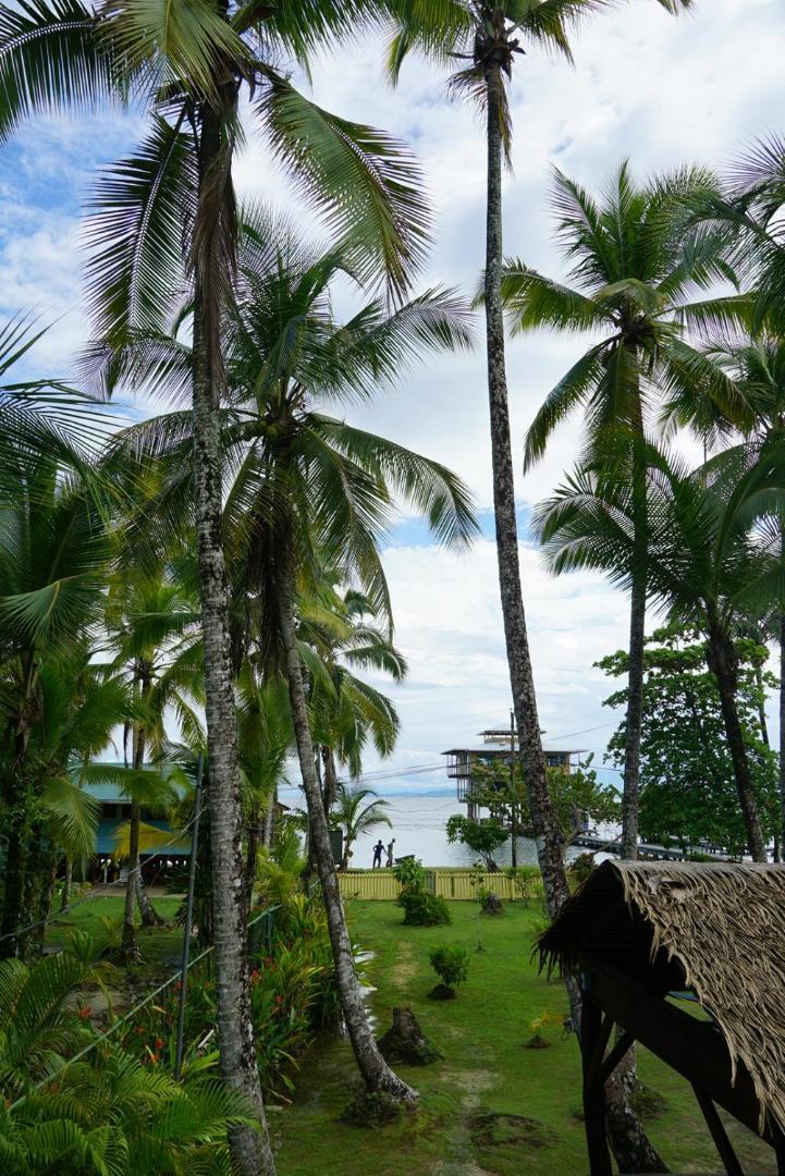Hotel Tierra Verde Bed And Breakfast Bocas Town Kültér fotó